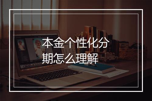 本金个性化分期怎么理解
