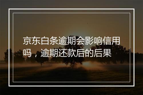 京东白条逾期会影响信用吗，逾期还款后的后果