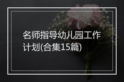 名师指导幼儿园工作计划(合集15篇)