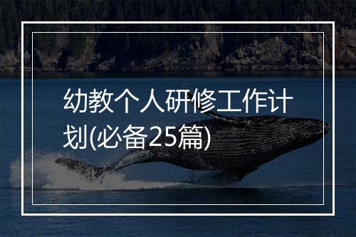 幼教个人研修工作计划(必备25篇)