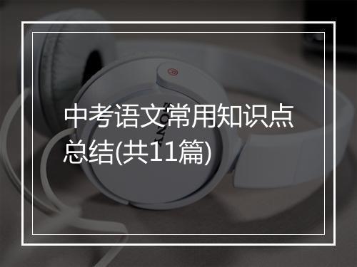 中考语文常用知识点总结(共11篇)