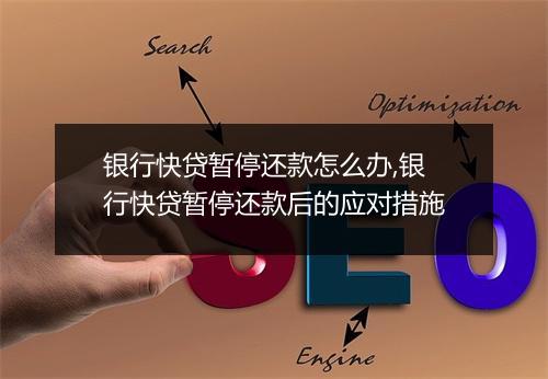 银行快贷暂停还款怎么办,银行快贷暂停还款后的应对措施