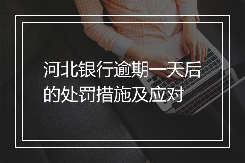 河北银行逾期一天后的处罚措施及应对