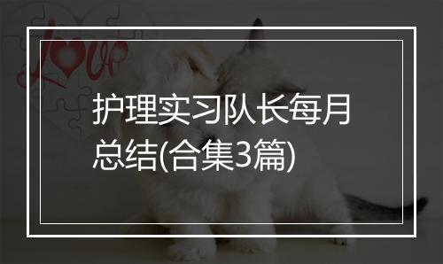护理实习队长每月总结(合集3篇)