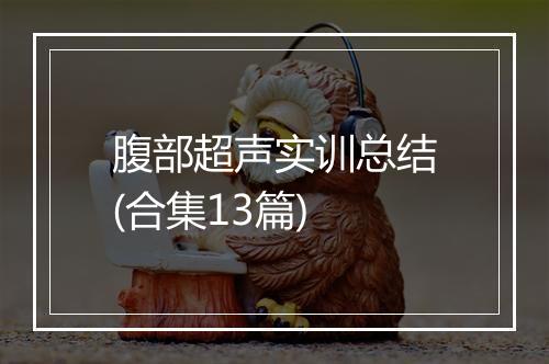 腹部超声实训总结(合集13篇)
