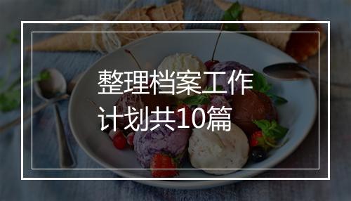 整理档案工作计划共10篇