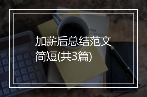 加薪后总结范文简短(共3篇)