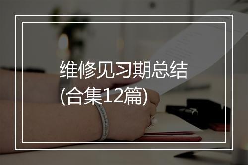 维修见习期总结(合集12篇)