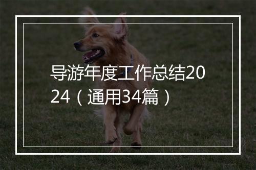 导游年度工作总结2024（通用34篇）