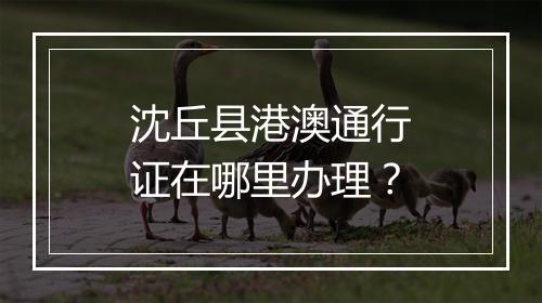 沈丘县港澳通行证在哪里办理？