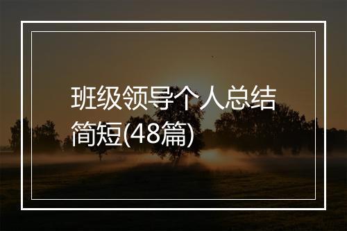 班级领导个人总结简短(48篇)