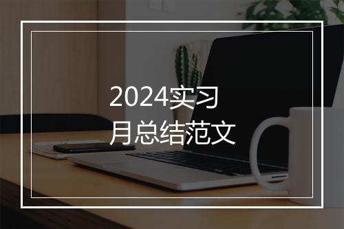 2024实习月总结范文