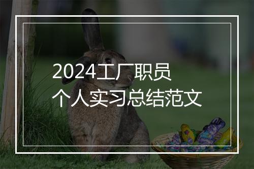 2024工厂职员个人实习总结范文
