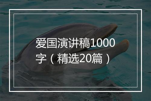 爱国演讲稿1000字（精选20篇）