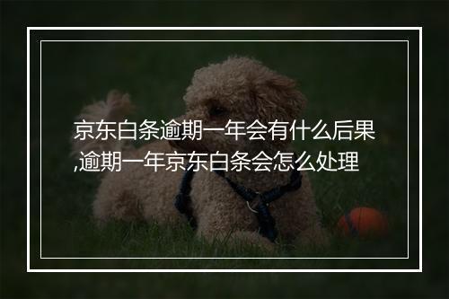 京东白条逾期一年会有什么后果,逾期一年京东白条会怎么处理