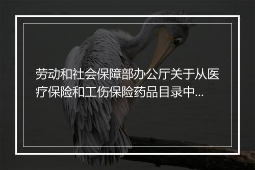 劳动和社会保障部办公厅关于从医疗保险和工伤保险药品目录中删除