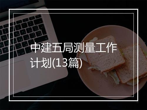 中建五局测量工作计划(13篇)