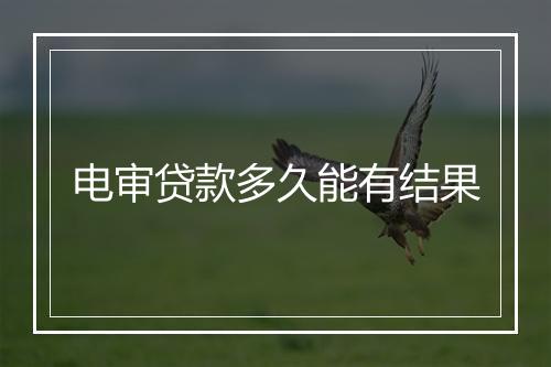 电审贷款多久能有结果
