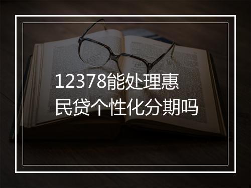 12378能处理惠民贷个性化分期吗