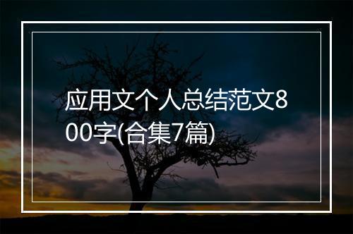 应用文个人总结范文800字(合集7篇)