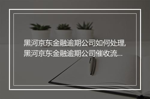 黑河京东金融逾期公司如何处理,黑河京东金融逾期公司催收流程