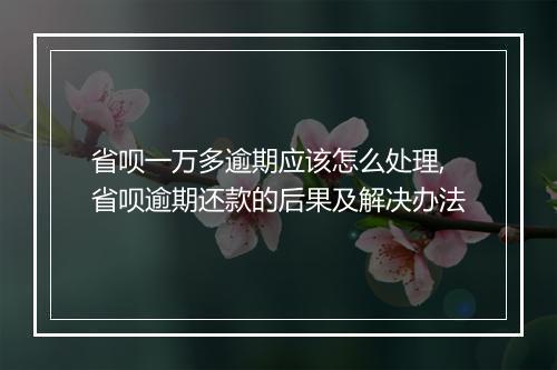 省呗一万多逾期应该怎么处理,省呗逾期还款的后果及解决办法