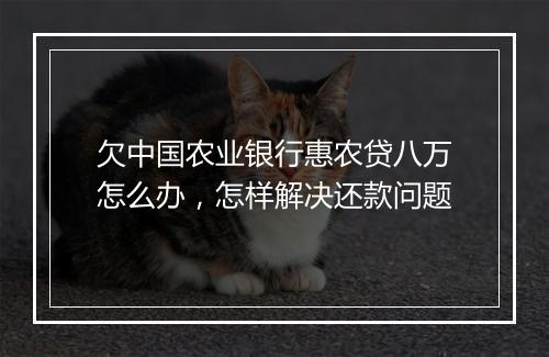 欠中国农业银行惠农贷八万怎么办，怎样解决还款问题