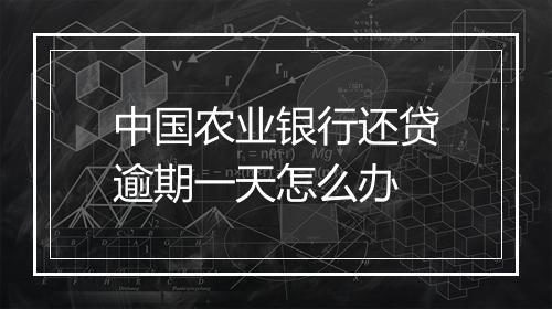 中国农业银行还贷逾期一天怎么办