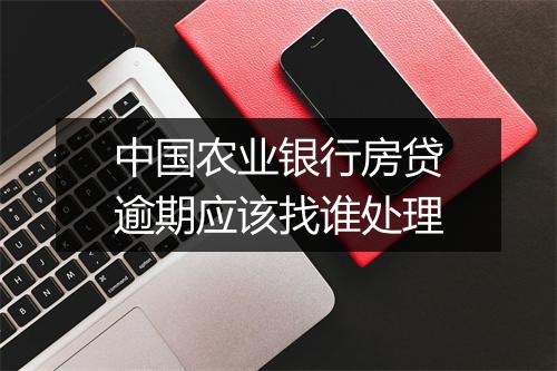 中国农业银行房贷逾期应该找谁处理