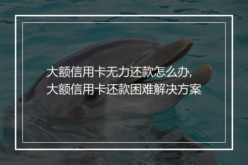 大额信用卡无力还款怎么办,大额信用卡还款困难解决方案