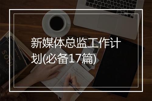 新媒体总监工作计划(必备17篇)