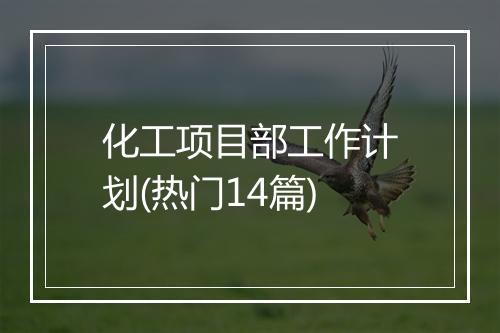 化工项目部工作计划(热门14篇)