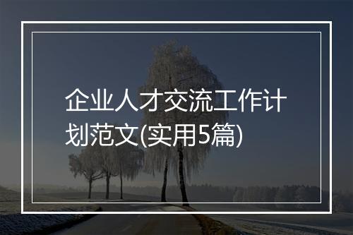 企业人才交流工作计划范文(实用5篇)