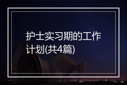 护士实习期的工作计划(共4篇)