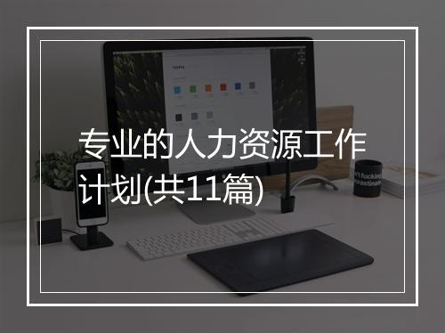 专业的人力资源工作计划(共11篇)