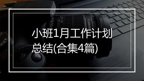 小班1月工作计划总结(合集4篇)