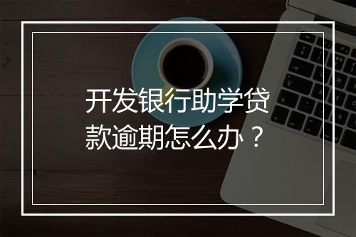 开发银行助学贷款逾期怎么办？