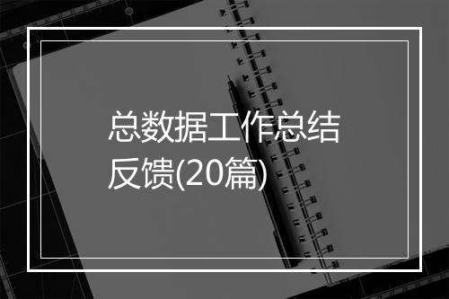 总数据工作总结反馈(20篇)