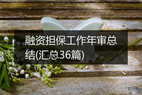 融资担保工作年审总结(汇总36篇)