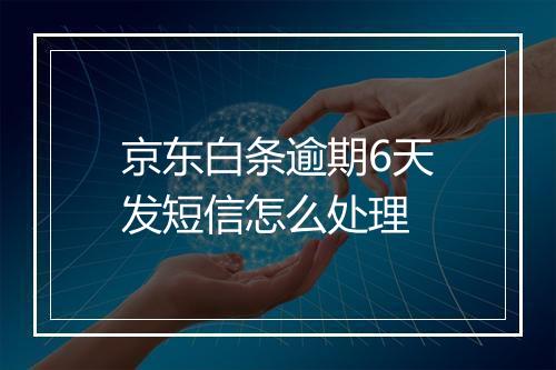京东白条逾期6天发短信怎么处理