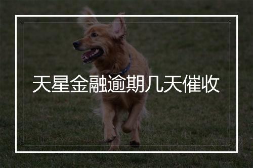 天星金融逾期几天催收