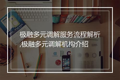 极融多元调解服务流程解析,极融多元调解机构介绍