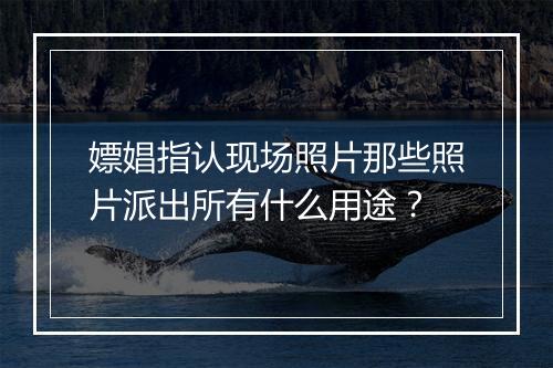 嫖娼指认现场照片那些照片派出所有什么用途？