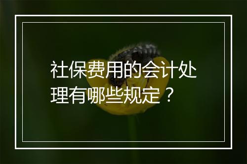 社保费用的会计处理有哪些规定？
