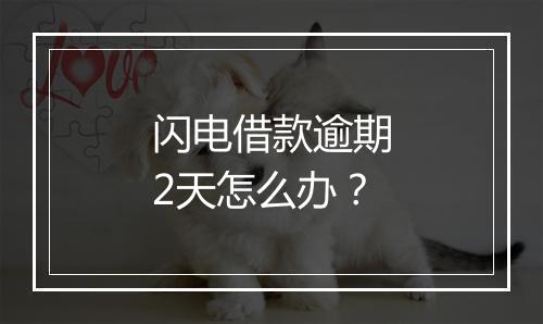 闪电借款逾期2天怎么办？