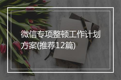 微信专项整顿工作计划方案(推荐12篇)