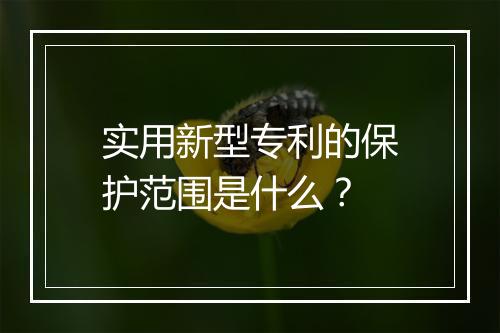 实用新型专利的保护范围是什么？