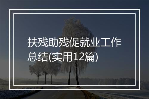 扶残助残促就业工作总结(实用12篇)
