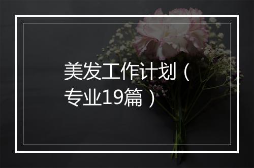 美发工作计划（专业19篇）