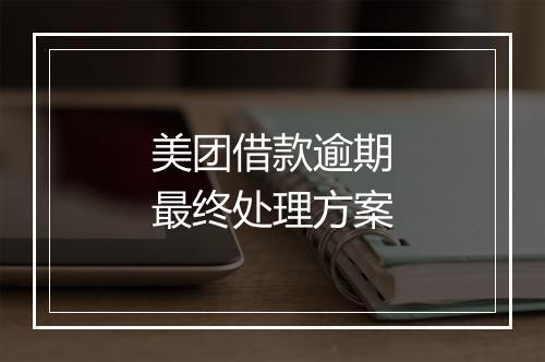 美团借款逾期最终处理方案